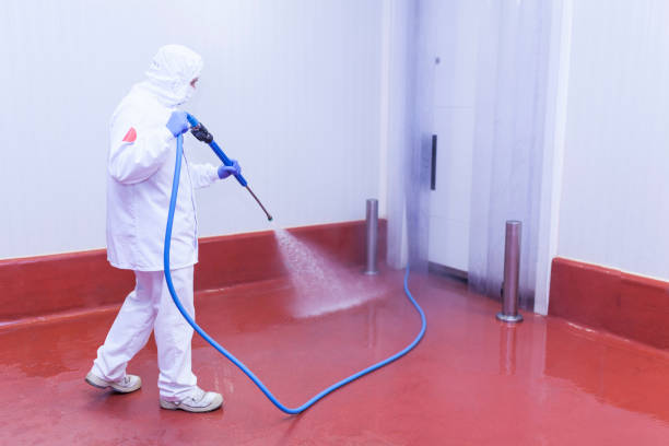 Best Roof Washing  in Winter Beach, FL