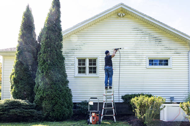 Best Gutter Cleaning  in Winter Beach, FL