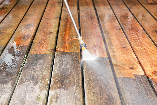 Best Sidewalk and Walkway Cleaning  in Winter Beach, FL
